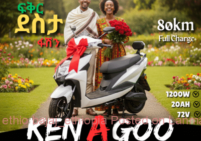 37f5ef70-674d-4f8e-ba8f-b073bc5e42d7