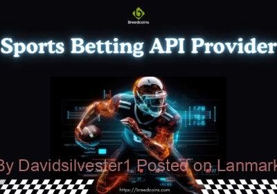 Sports-Betting-API-Provider