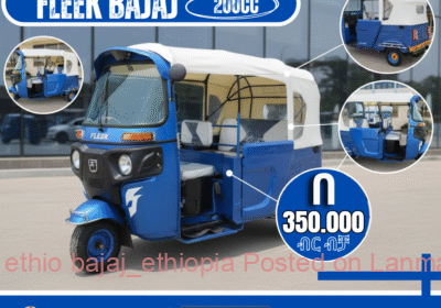 f30d0c41-7396-48a1-ab5f-54a94917c73f