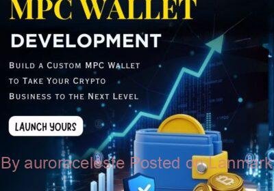 mpc-wallet-development