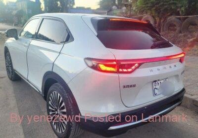 40905e38-3132-483e-8cee-1ba40010bc7a