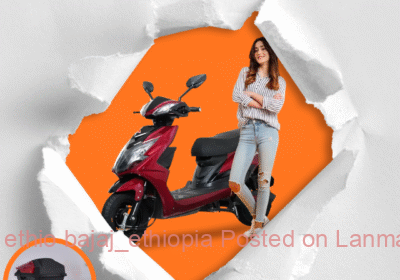 9b523236-009e-48de-b0e6-212e0b4f4f17