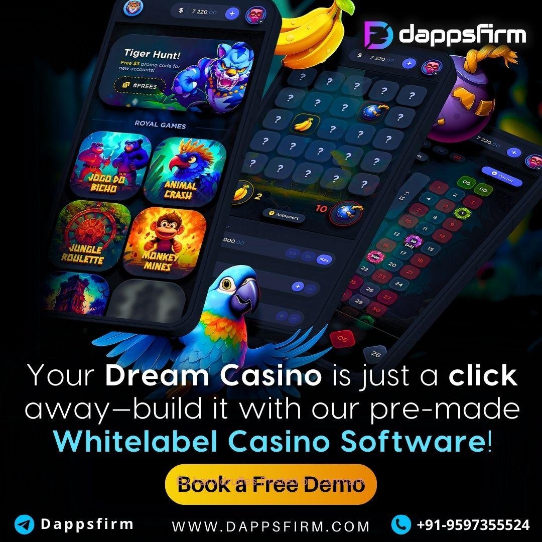 Complete Whitelabel Casino Package – Minimal Cost, Maximum Features