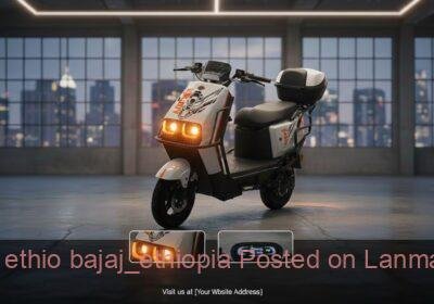 fec3b687-aa0e-4edd-b7c5-1ddb67716832