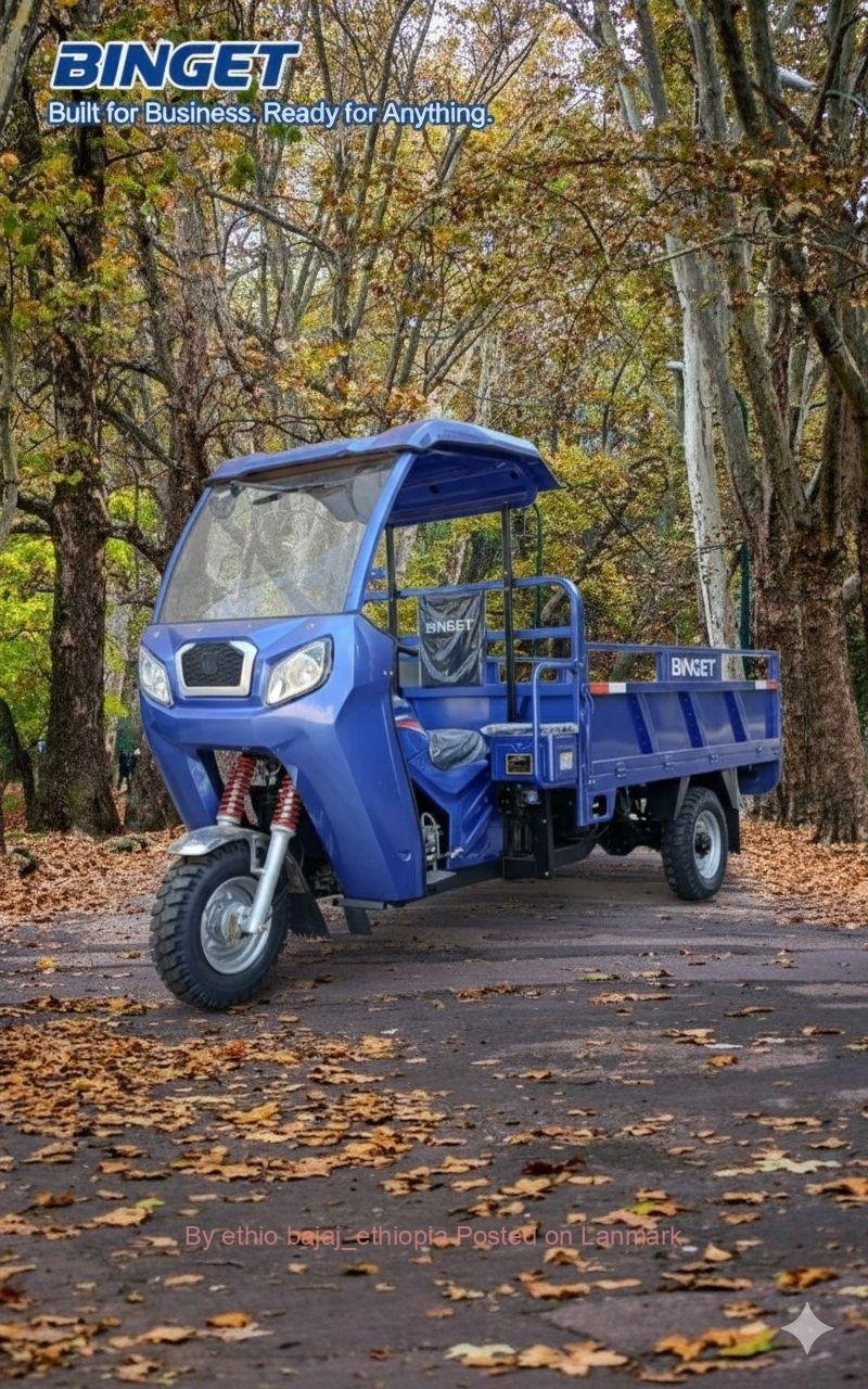 BINGET 200cc cargo bajaj