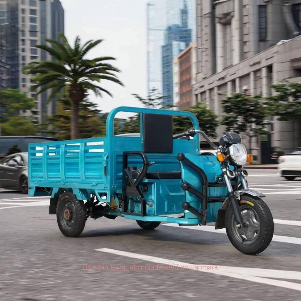 ኤሌክትሪክ ቻርጅ ገልባጭ የጭነት ባጃጅ