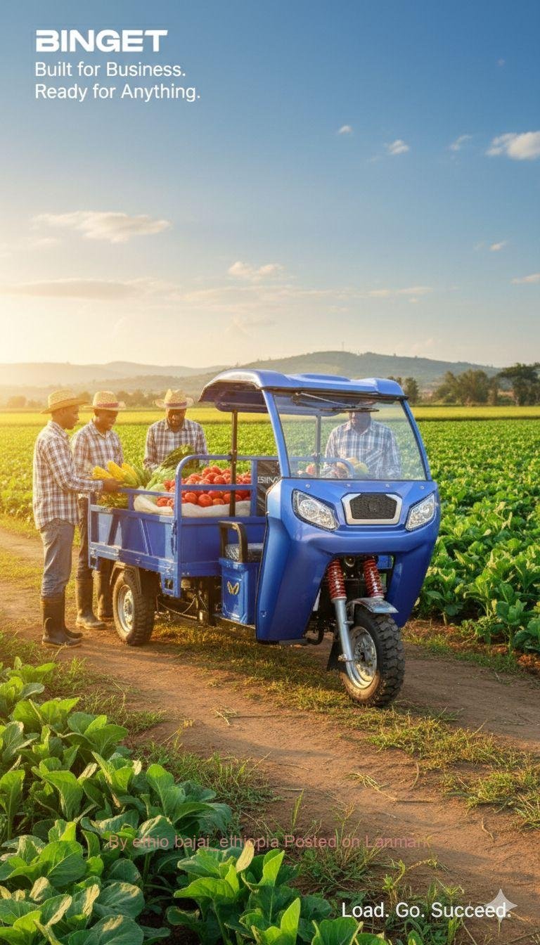 BINGET 200cc cargo bajaj