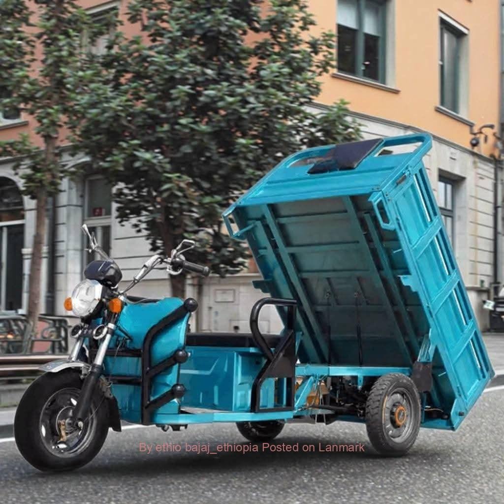 ኤሌክትሪክ ቻርጅ ገልባጭ የጭነት ባጃጅ