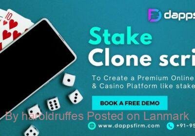 stake-clone-script-2