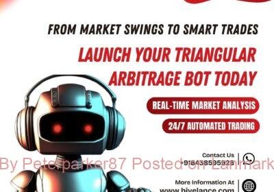 Triangular-Arbitrage-Trading-Bot-1