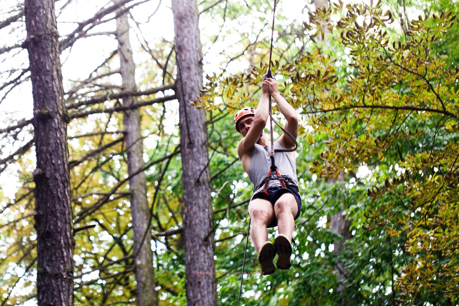 Zipline Cave Adventure Fly Through Nature’s Hidden Wonder