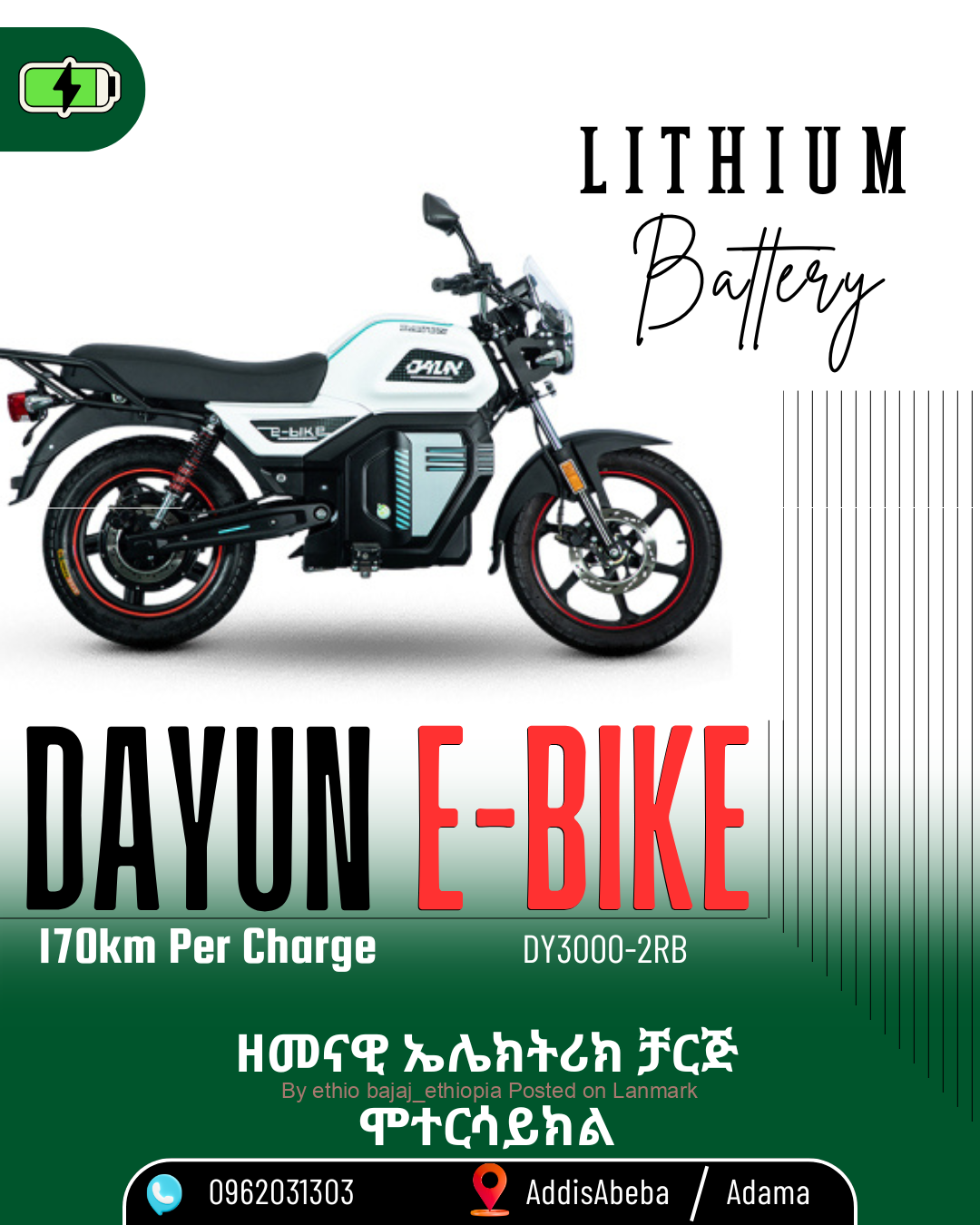 DAYUN #DY3000_2RB E-BIKE