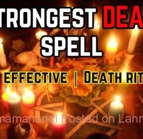 393858528-288-k241005