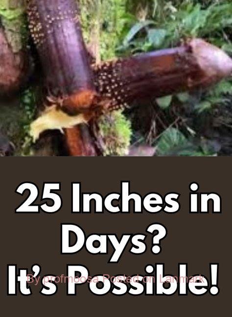 PENIS ENLARGEMENT PRODUCTS IN SAUDI ARABIA+27 74 676 7021