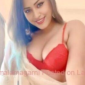 17703875475035-280×415-16