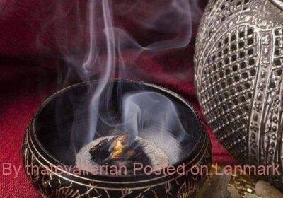 305488630_455350999980337_9030246325467176065_n