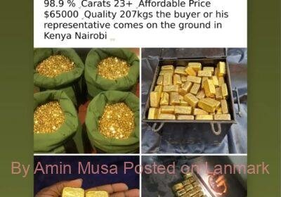 38b59b3b-7e0f-4887-b96a-12de4419bf2b-1_all_25366