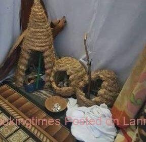 4955928_1591100045_4images