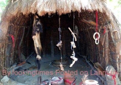 4978643_1597601262_194989442_1590861582_9traditionalhealer