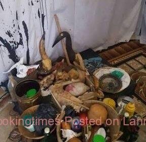 4978643_1597601337_74989442_1590861582_6images1