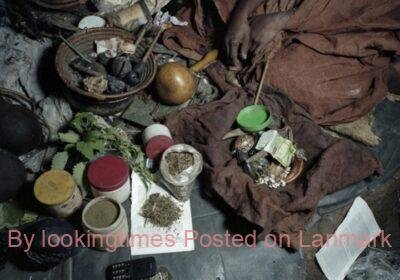 5131307_1602065915_055a9ec53054b140fa3784d6b9508fcf5_XL