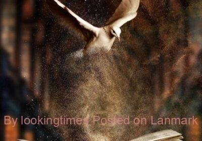 5131307_1602066236_01_gvIRe8Ku36pxRHCbiVCR7A