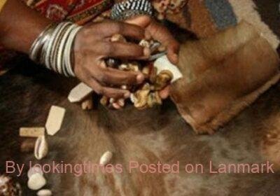 5261498_1609156084_0Sangoma