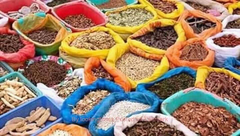 IN~Gauteng & Randfontein⓶[[+27`818744558]]The Most Powerful Traditional Healer in Nigel, Boskruin, Four Ways, Germiston, Boksburg, Vanderbijlpark, Boskruin,Stirtonville, Brakpan, Bronkhorstspruit, Alberton, Krugersdorp, Midrand, Centurion, Cullinan, Boksburg Siyabuswa, Bedfordview, Durban, Roodepoort, East Rand,Alberton, Wynberg, Camperdown, Springs, Pretoria,Soweto & Bethlehem.