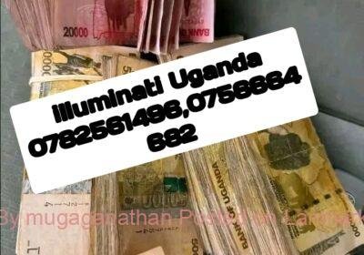 Polish_20260305_012657581