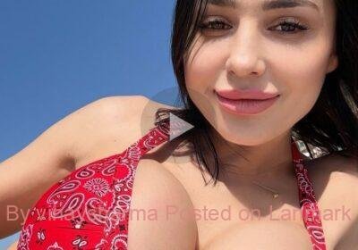 cde7a8557db40cca9b772417617e8571