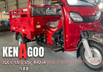 25c3b0c7-c1e8-454e-9f57-40892f8e4a85