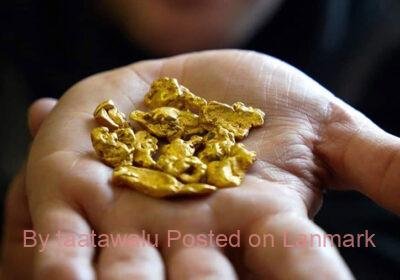 Gold-Nuggets