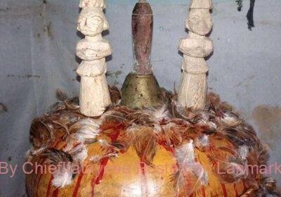 der-beste-spirituell-starke-krauterkundige-in-nigeria-1799958_zoom