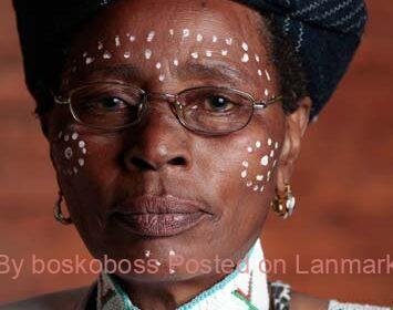 healer-article-image