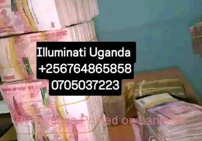 1000071667-1