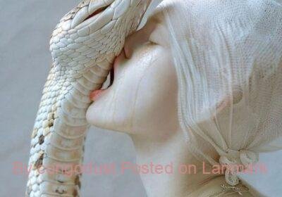 3912WhatsApp-Image-2024-07-30-at-12.02.36_57145bda-2