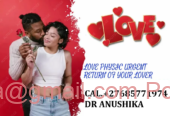 I want to bring my lost lover so I am calling +27685771974.