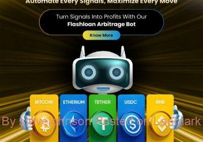 flashloan-arbitragebot-development