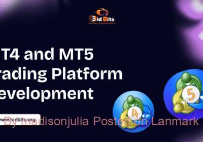 MT4_and_MT5_Trading_Platform_Development__optimized_290