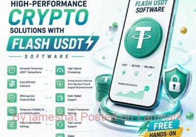 flash-usdt-software-100-16