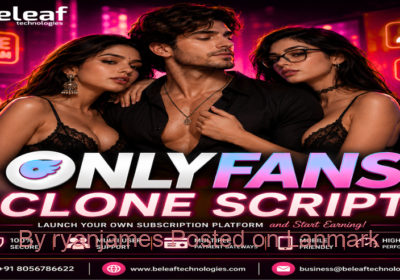 only-fans-2-1