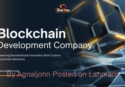 Blockchain-Development-Company-bidbits