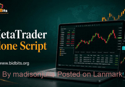 MetaTrader_Clone_Script_1_optimized_290