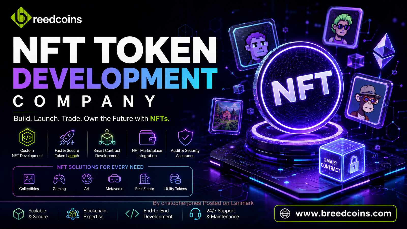 NFT Marketplace Development Company | Advanced Web3 NFT Platform Solutions