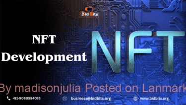 NFT_Development_1_1_optimized_350_375x