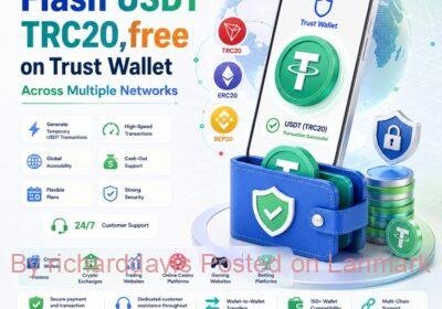 flash-usdt-200-5