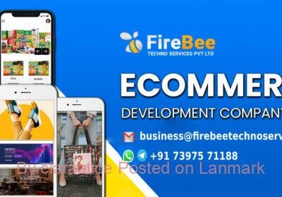 E-Commerce_Development