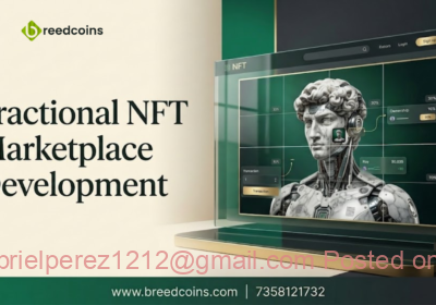 Fractional-NFT-Marketplace-Development