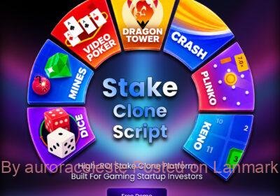 High-ROI-Stake-Clone-Platform-Built-for-Gaming-Startup-Investors