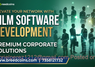 MLM-Software-Development-2